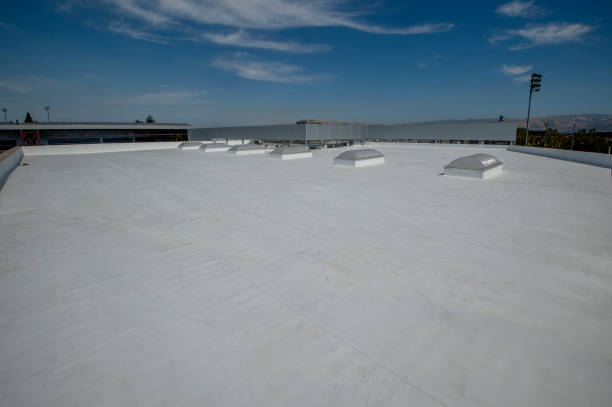 Best Skylight Installation and Repair  in Pendleton, SC