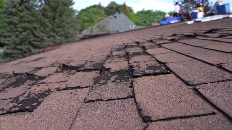 Best Roof Coating and Sealing  in Pendleton, SC