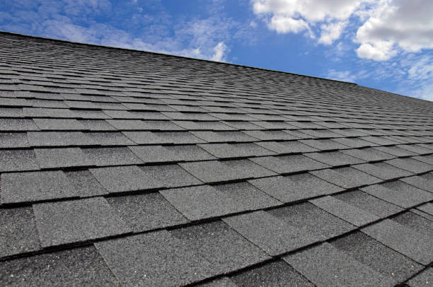 Best Roof Maintenance and Cleaning  in Pendleton, SC